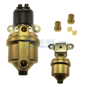 Large Body LPG Shut OFF Valve 6mm IN 6mm Out With Filter 12V 10W