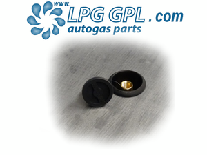 Autogas Filler Mounting Box With Dust Cap Round For Bayonet Filler UK